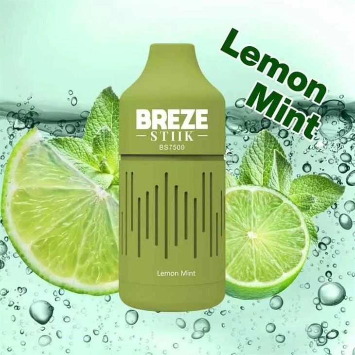 BREZE STIIK BS7500 Disposable Vape vapes